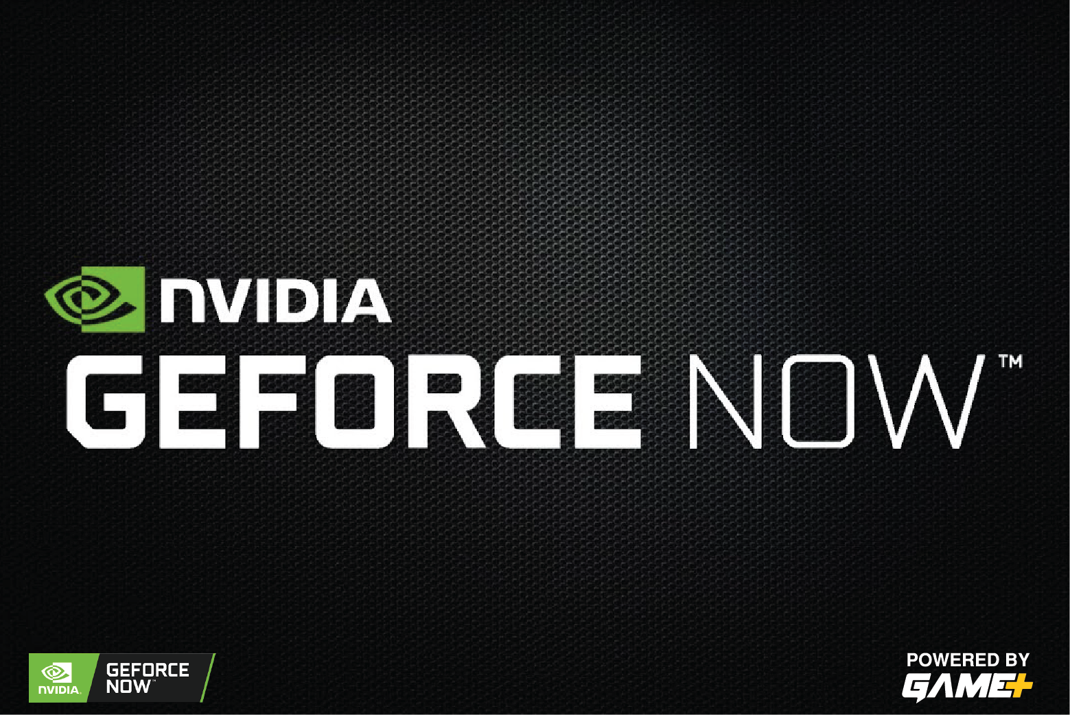 Gforce NOW